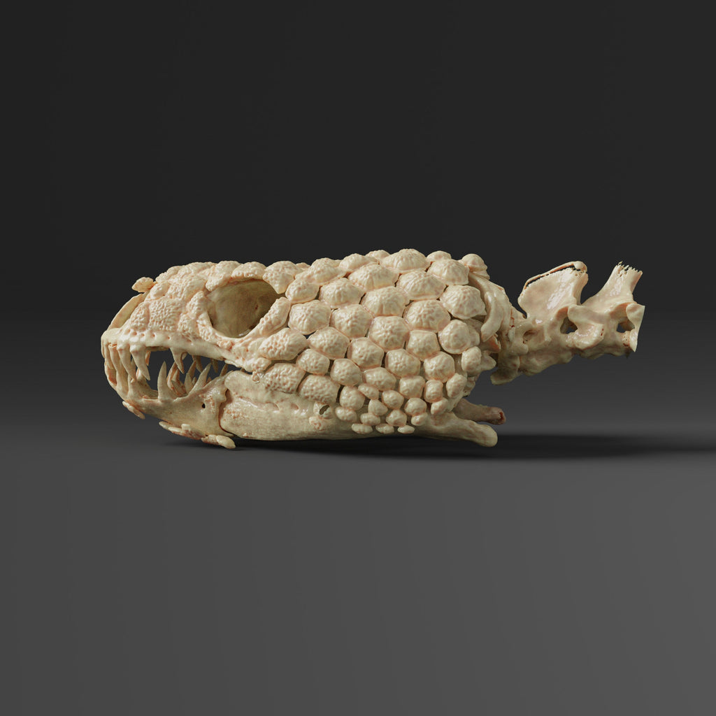 【激レア】 Custom SKULL BEE il_1080xN.3310975358_98dl.jpg